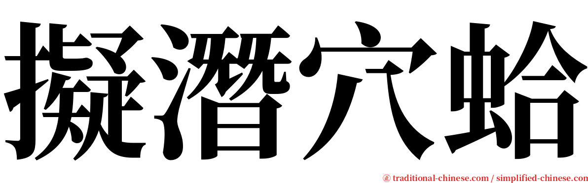 擬潛穴蛤 serif font