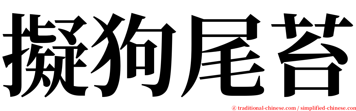 擬狗尾苔 serif font