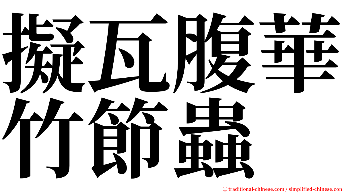 擬瓦腹華竹節蟲 serif font