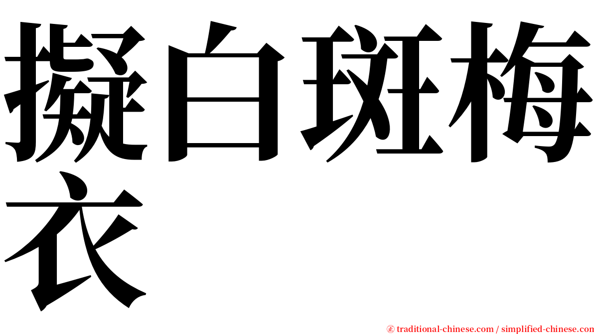 擬白斑梅衣 serif font