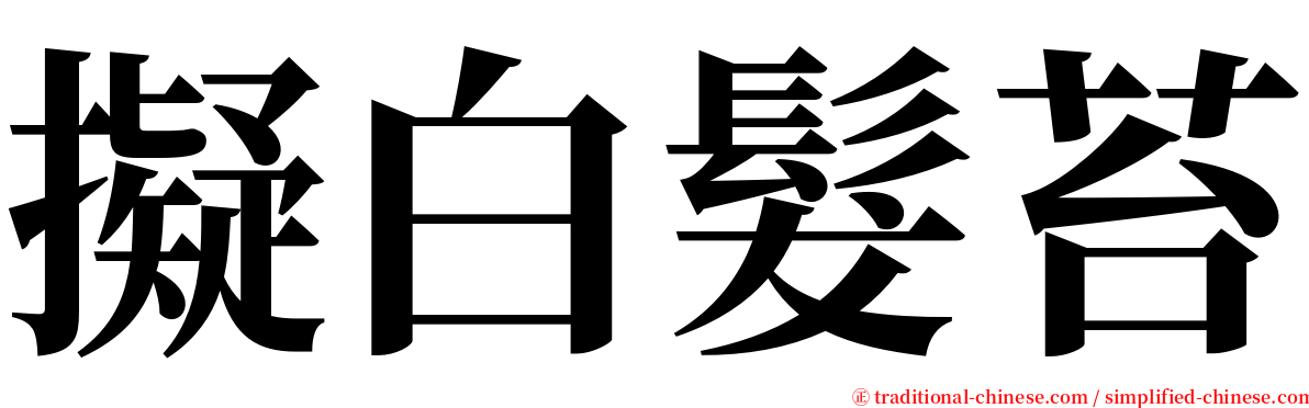 擬白髮苔 serif font