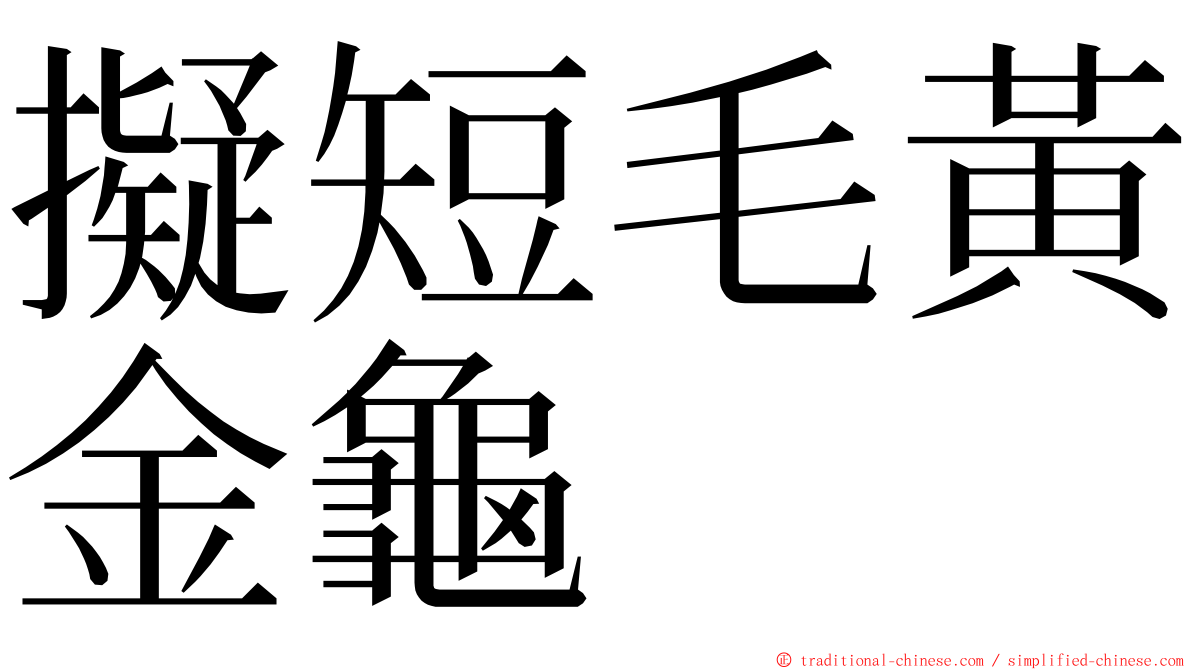 擬短毛黃金龜 ming font