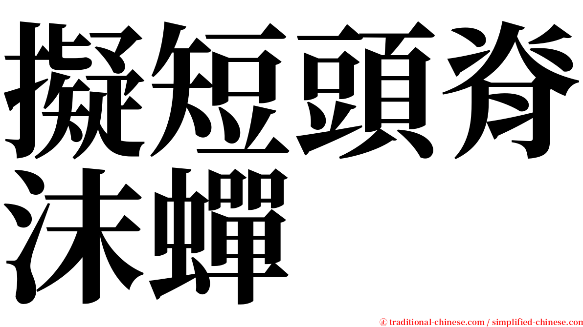 擬短頭脊沫蟬 serif font