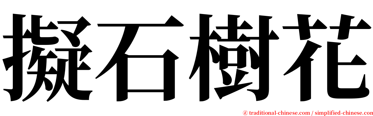 擬石樹花 serif font