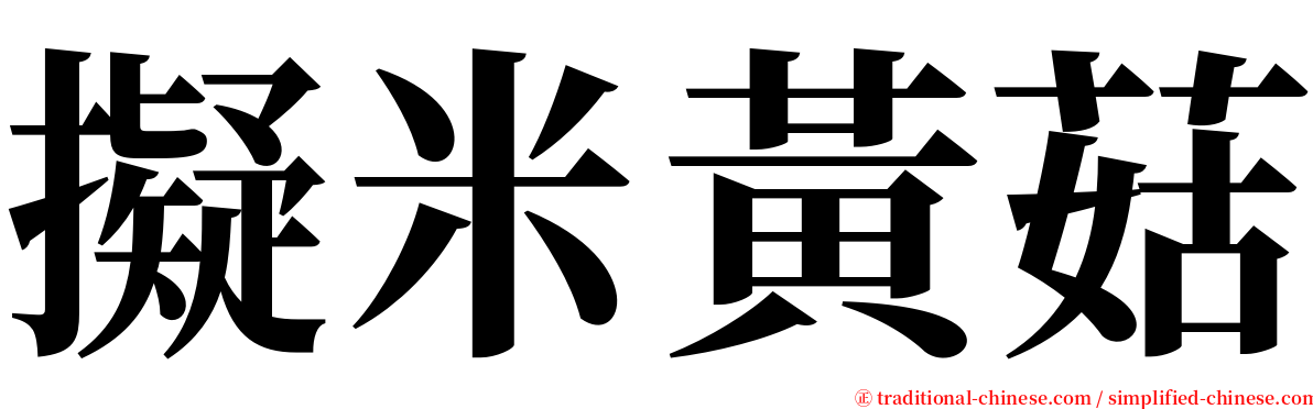 擬米黃菇 serif font