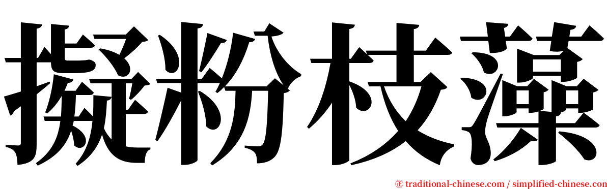 擬粉枝藻 serif font