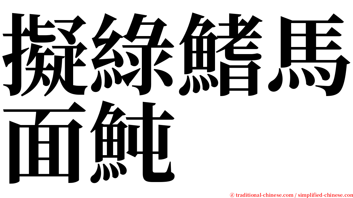 擬綠鰭馬面魨 serif font