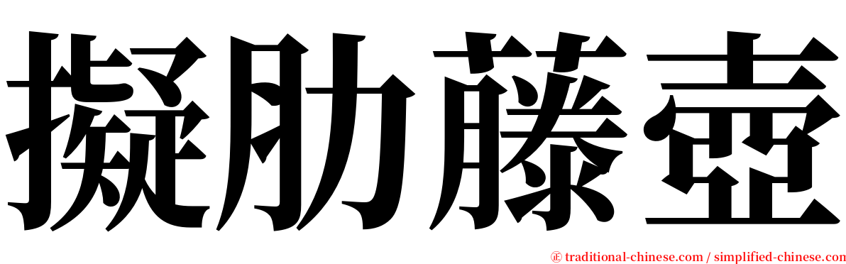 擬肋藤壺 serif font