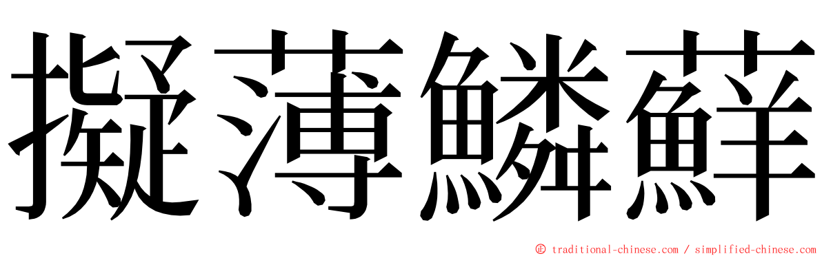 擬薄鱗蘚 ming font