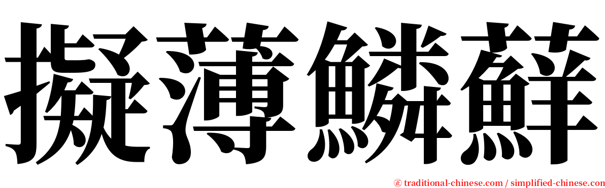 擬薄鱗蘚 serif font