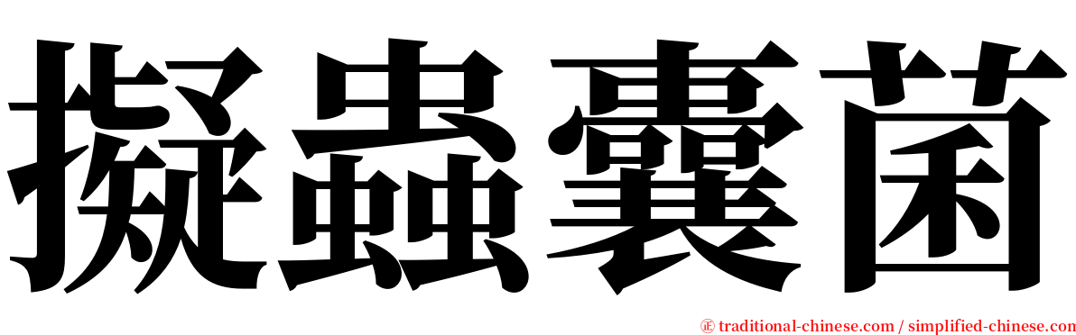 擬蟲囊菌 serif font