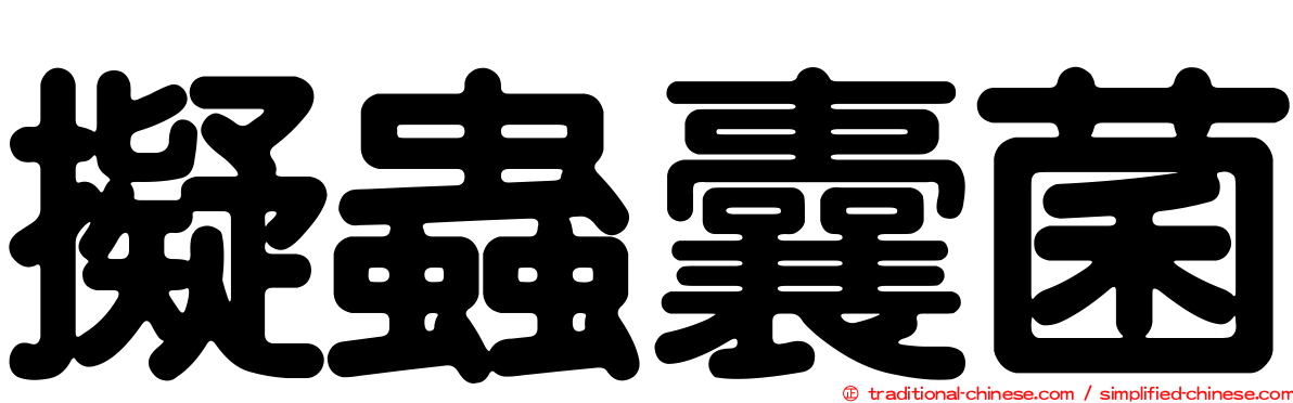 擬蟲囊菌