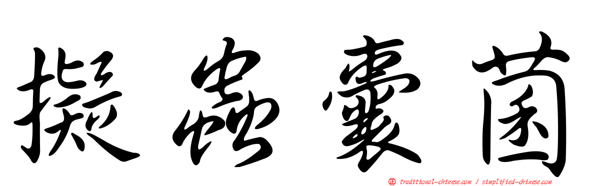 擬蟲囊菌
