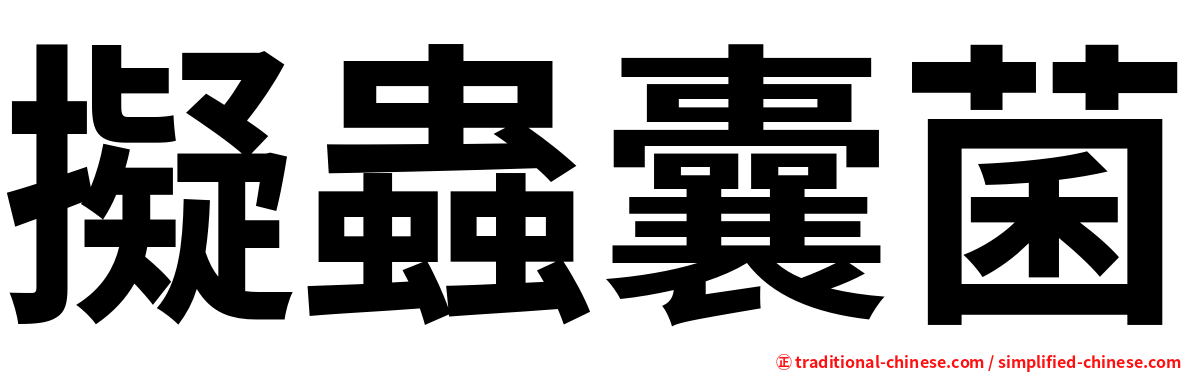 擬蟲囊菌