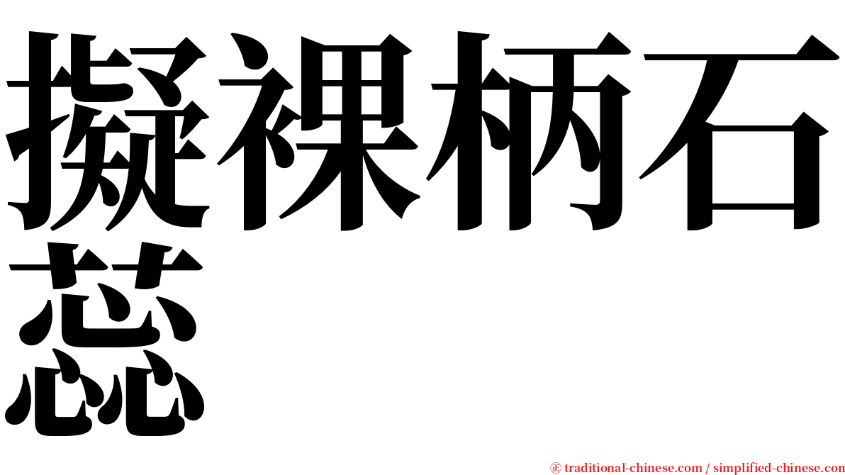 擬裸柄石蕊 serif font