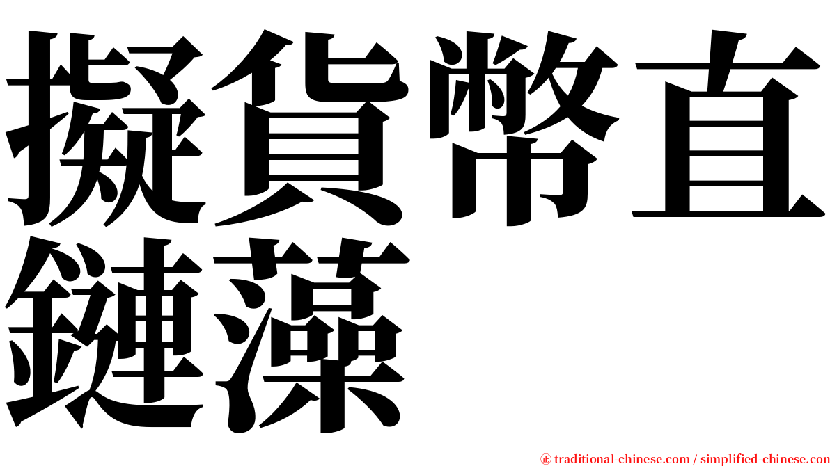 擬貨幣直鏈藻 serif font