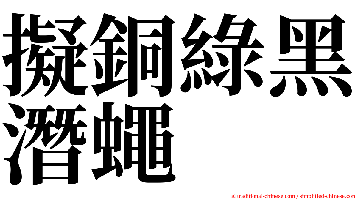 擬銅綠黑潛蠅 serif font