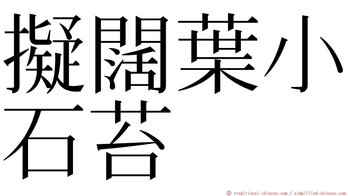 擬闊葉小石苔 ming font