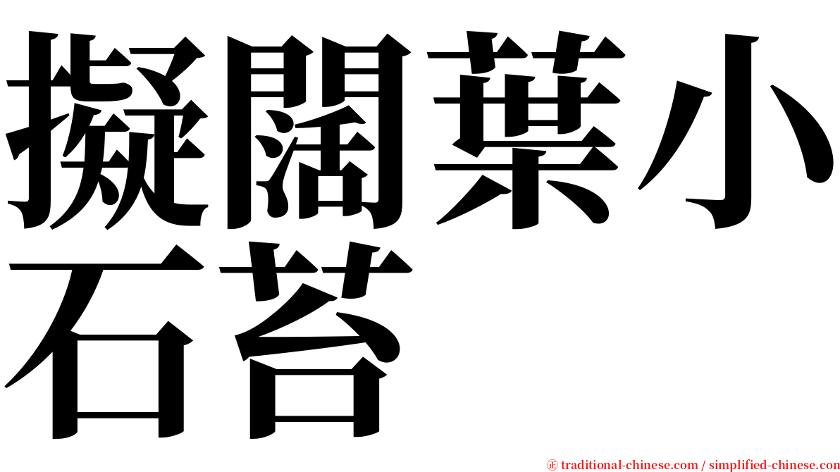 擬闊葉小石苔 serif font