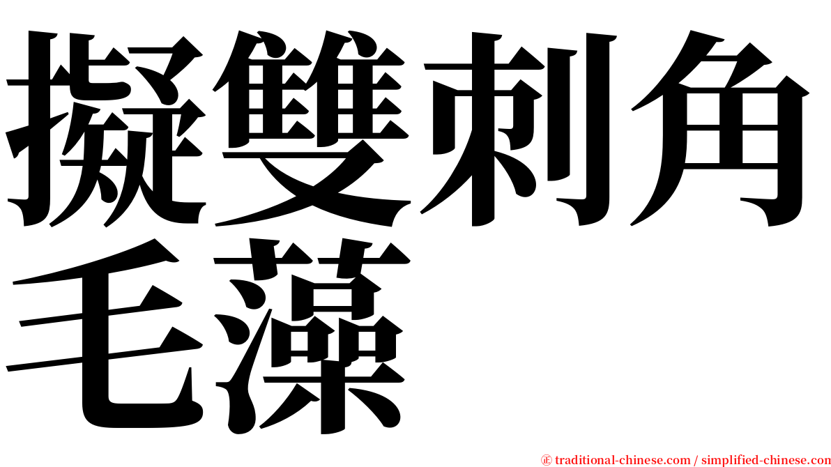 擬雙刺角毛藻 serif font