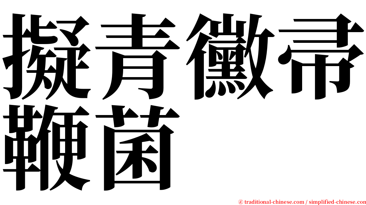 擬青黴帚鞭菌 serif font