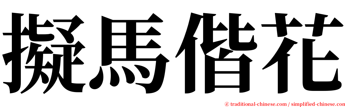 擬馬偕花 serif font