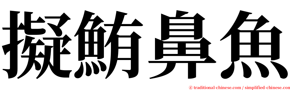 擬鮪鼻魚 serif font