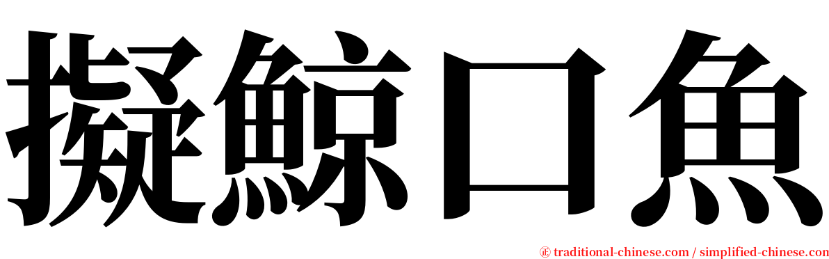 擬鯨口魚 serif font