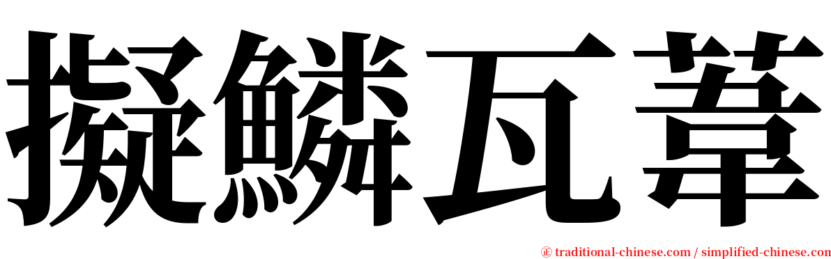 擬鱗瓦葦 serif font