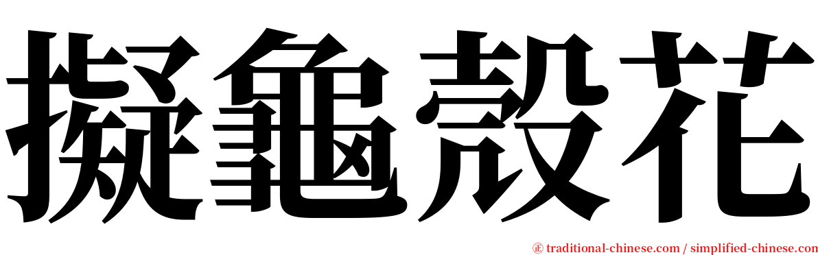 擬龜殼花 serif font