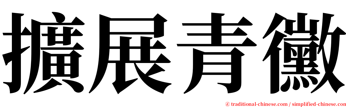 擴展青黴 serif font