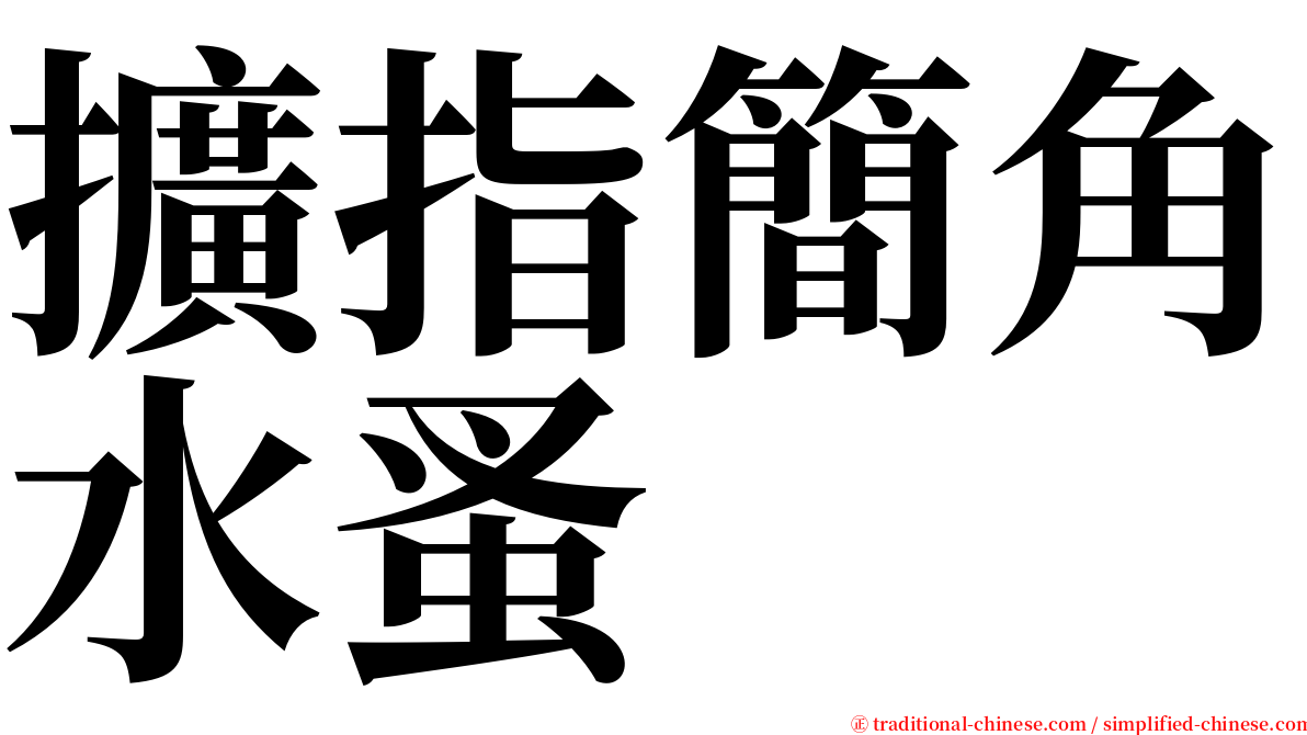 擴指簡角水蚤 serif font