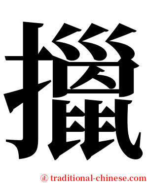 擸 serif font