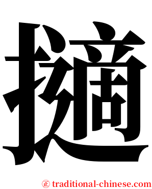 擿 serif font