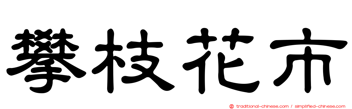 攀枝花市