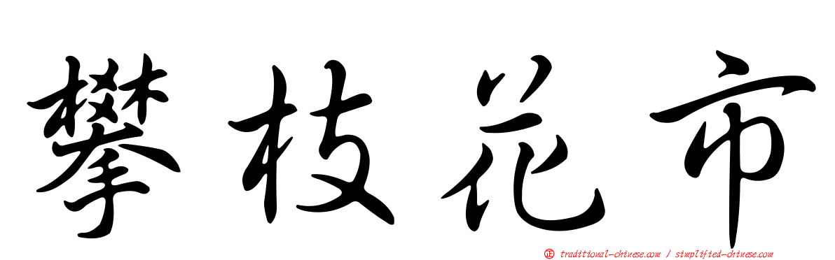 攀枝花市