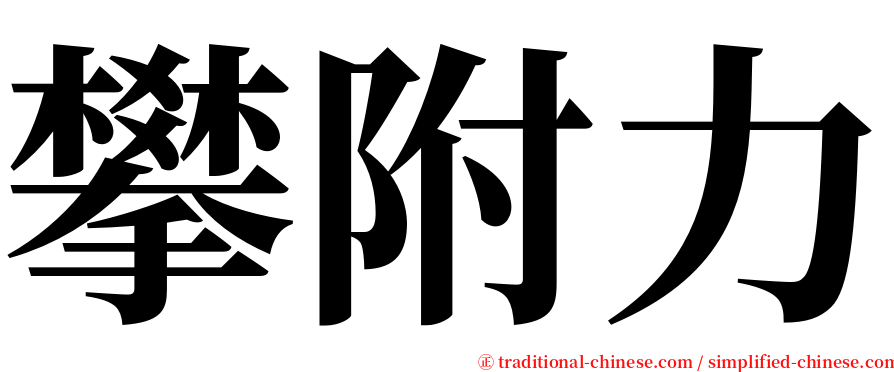 攀附力 serif font