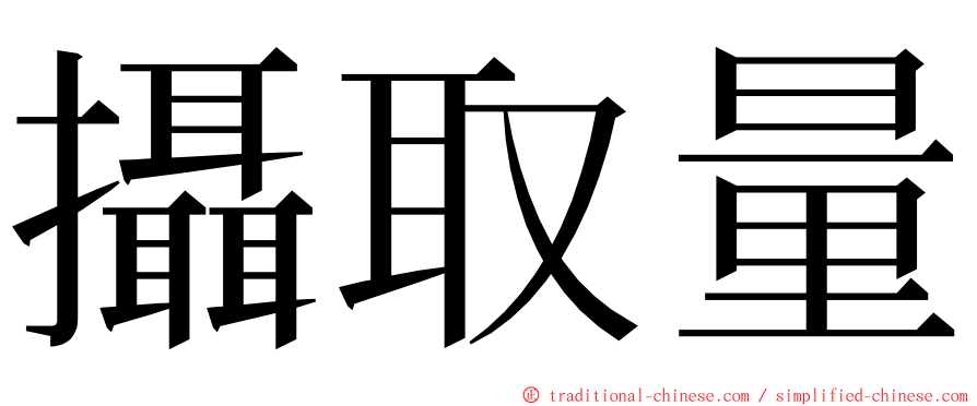 攝取量 ming font