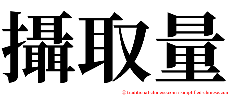 攝取量 serif font