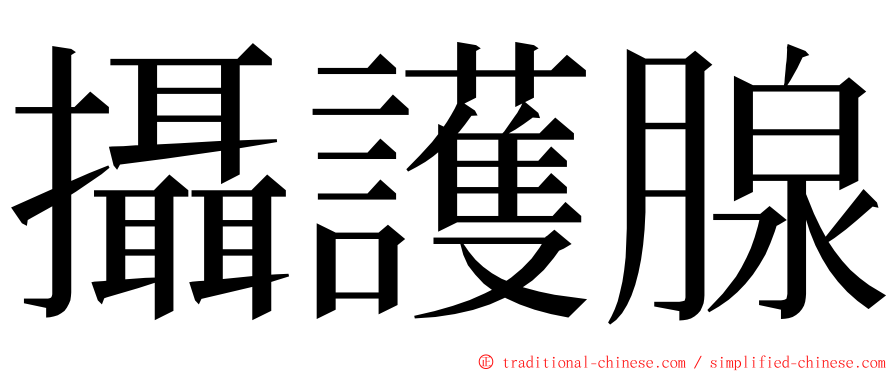 攝護腺 ming font