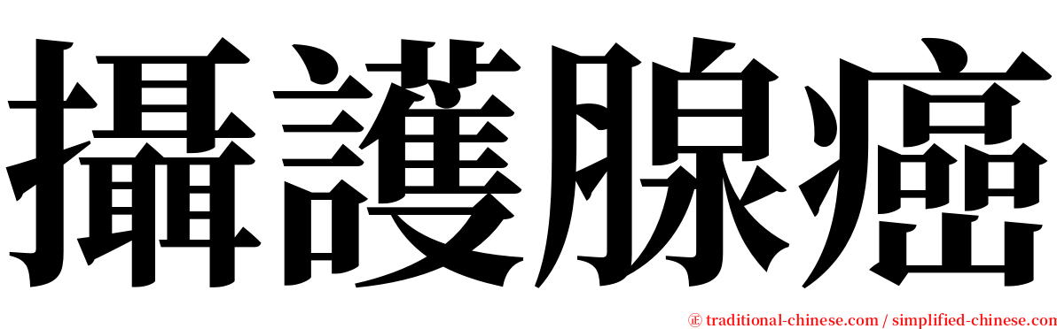 攝護腺癌 serif font