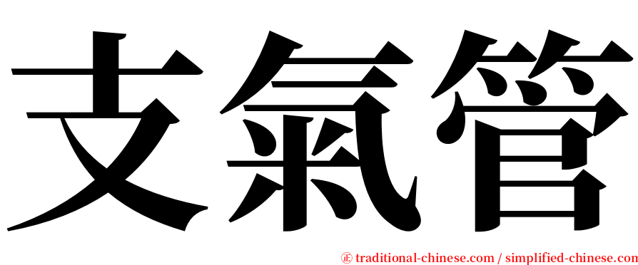 支氣管 serif font