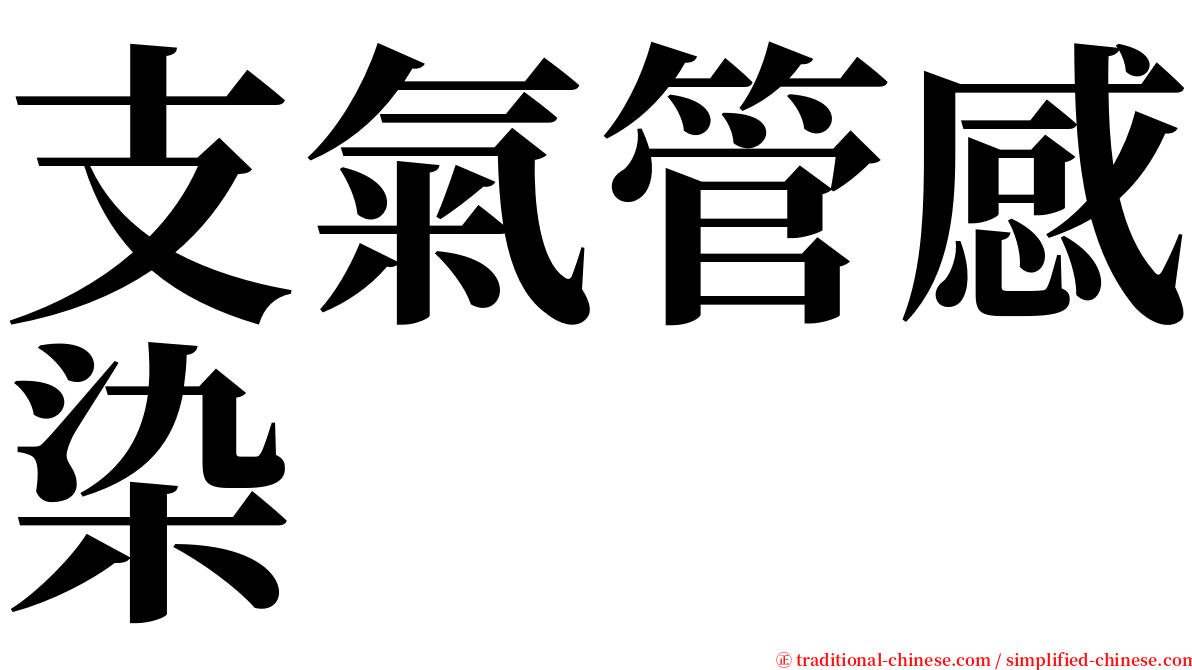 支氣管感染 serif font