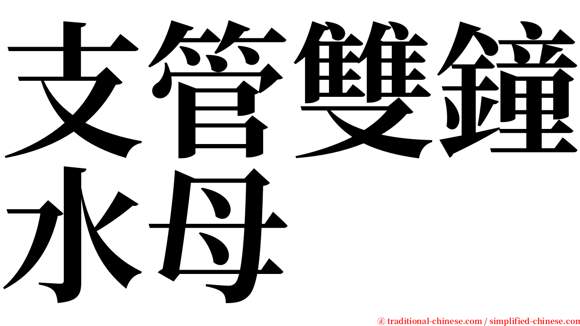 支管雙鐘水母 serif font