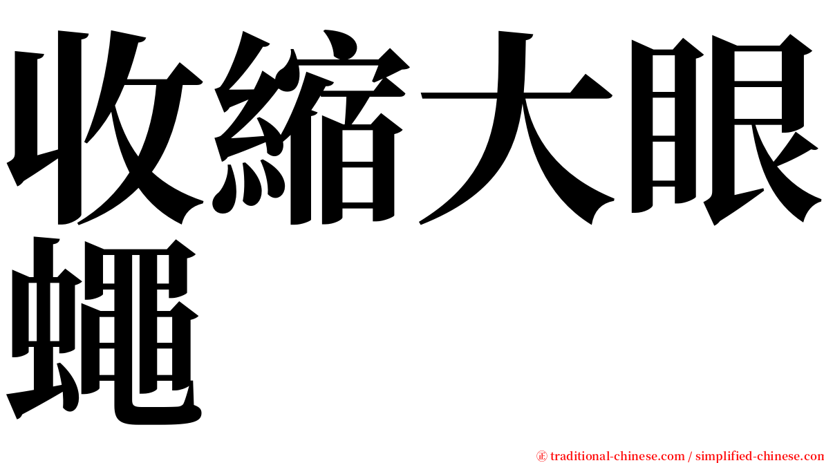 收縮大眼蠅 serif font