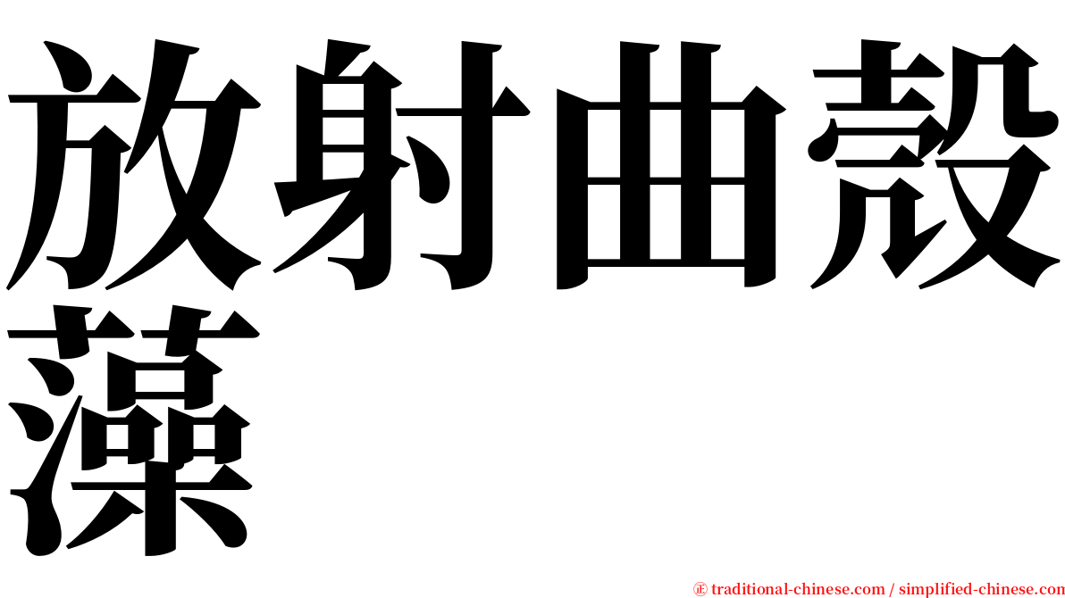 放射曲殼藻 serif font