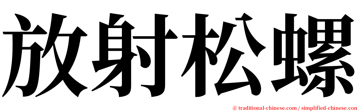 放射松螺 serif font