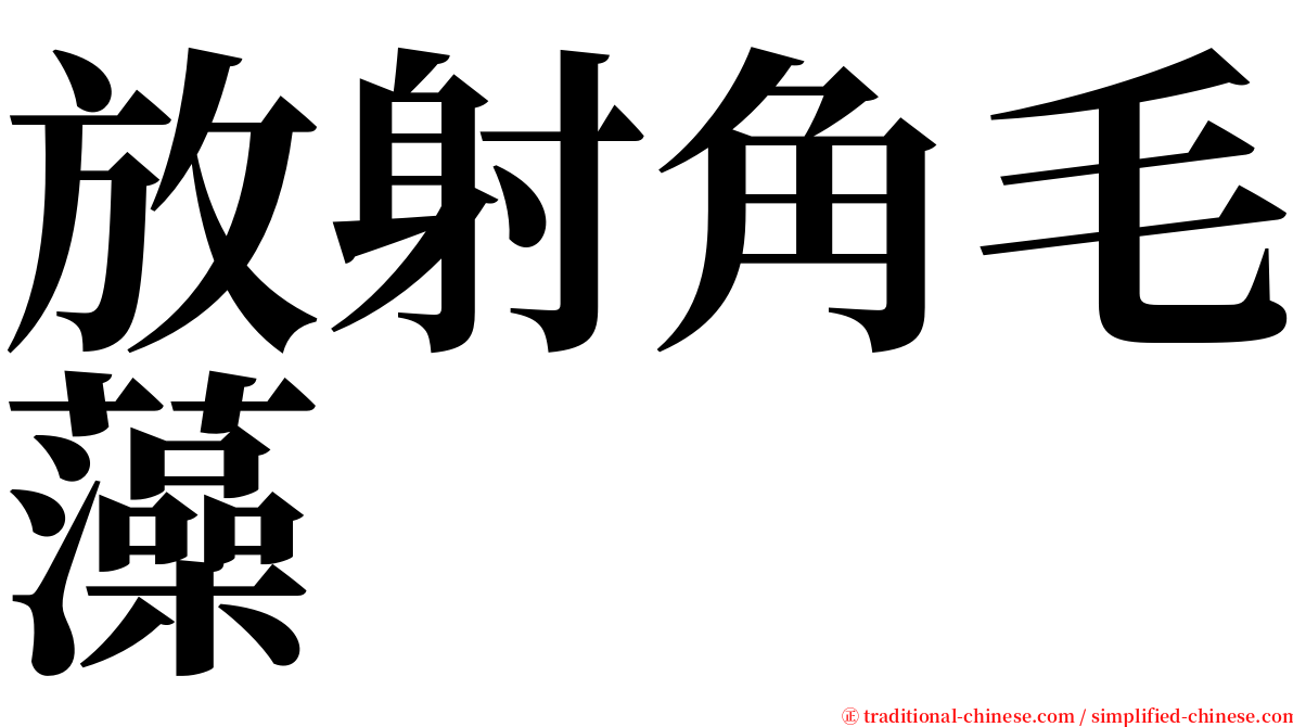 放射角毛藻 serif font