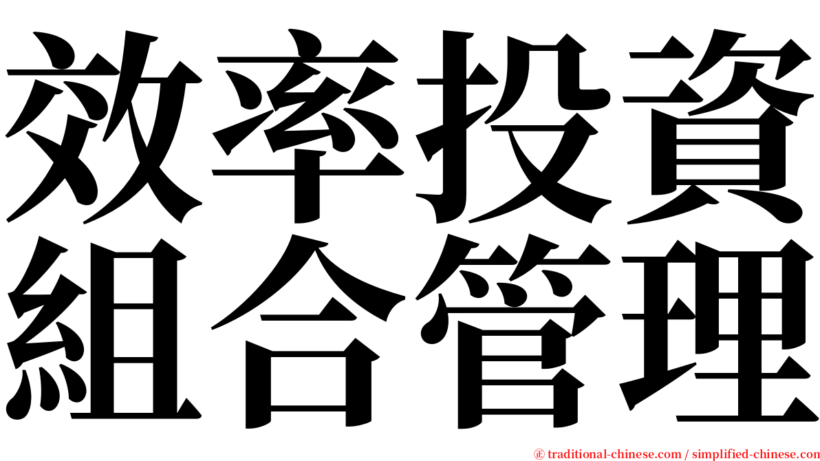 效率投資組合管理 serif font