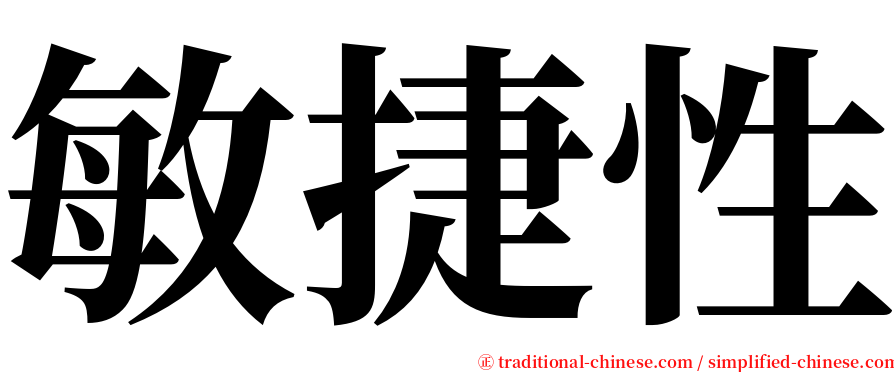 敏捷性 serif font